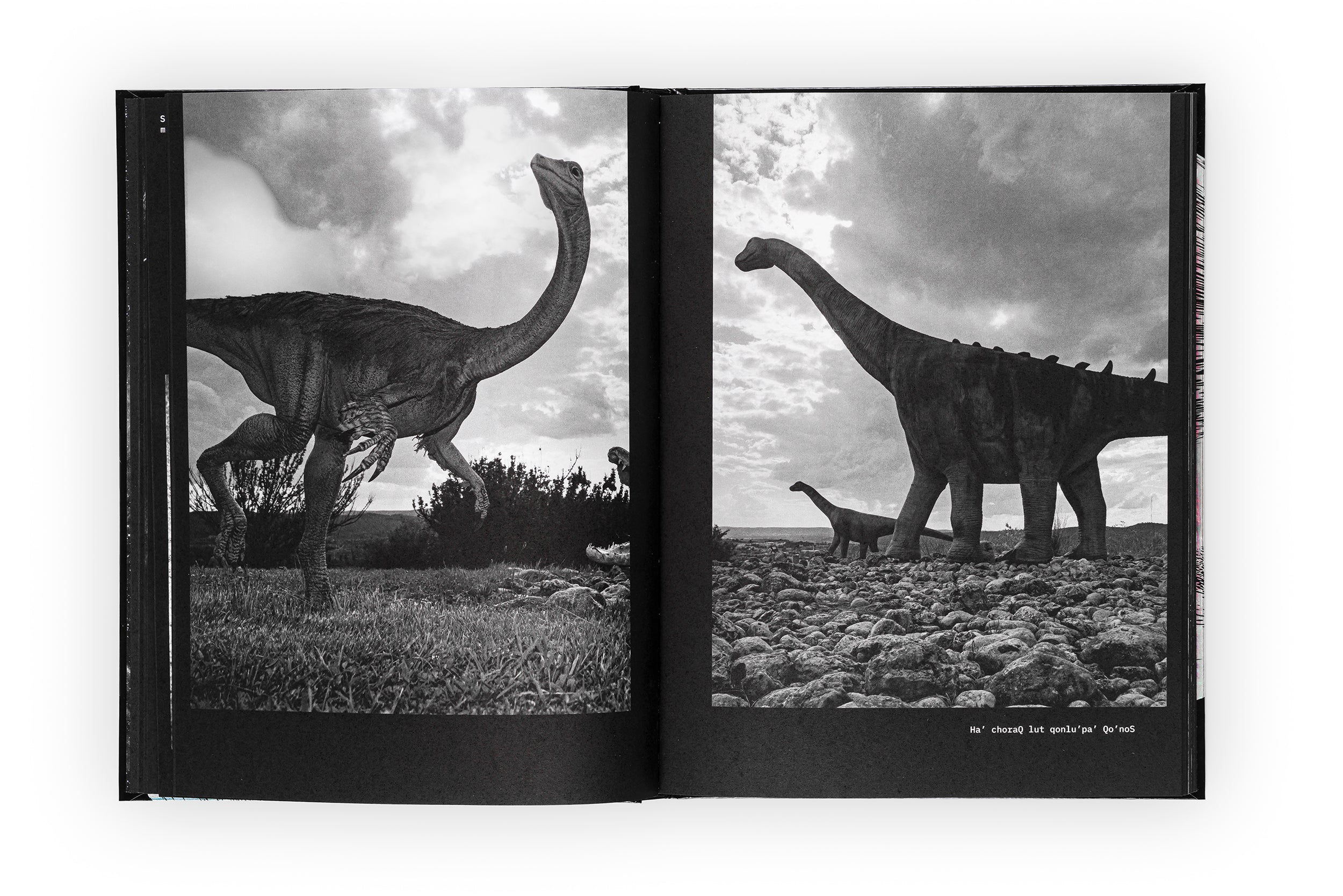 Dinosaur by Joan Fontcuberta, Dalpine